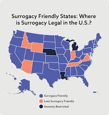 What is Surrogacy law in the U.S? What is Surrogacy law in the U.S?