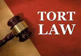 WHAT IS TORT ACCORDING TO USA LAW?